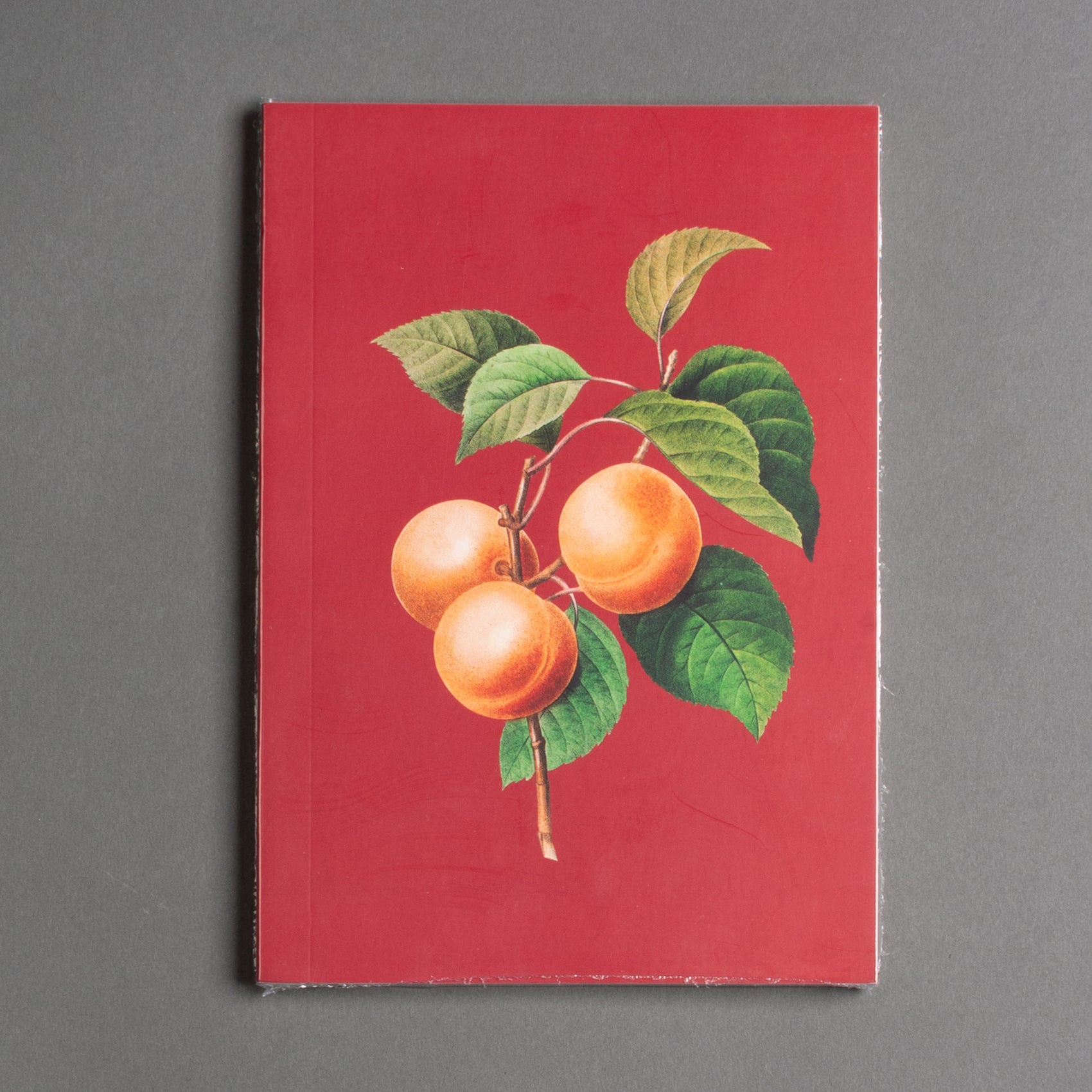 CADERNO DAMASCO