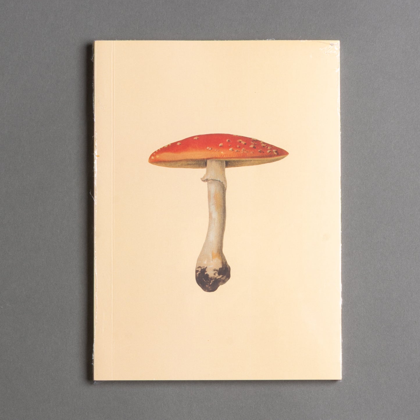 CADERNO COGUMELO