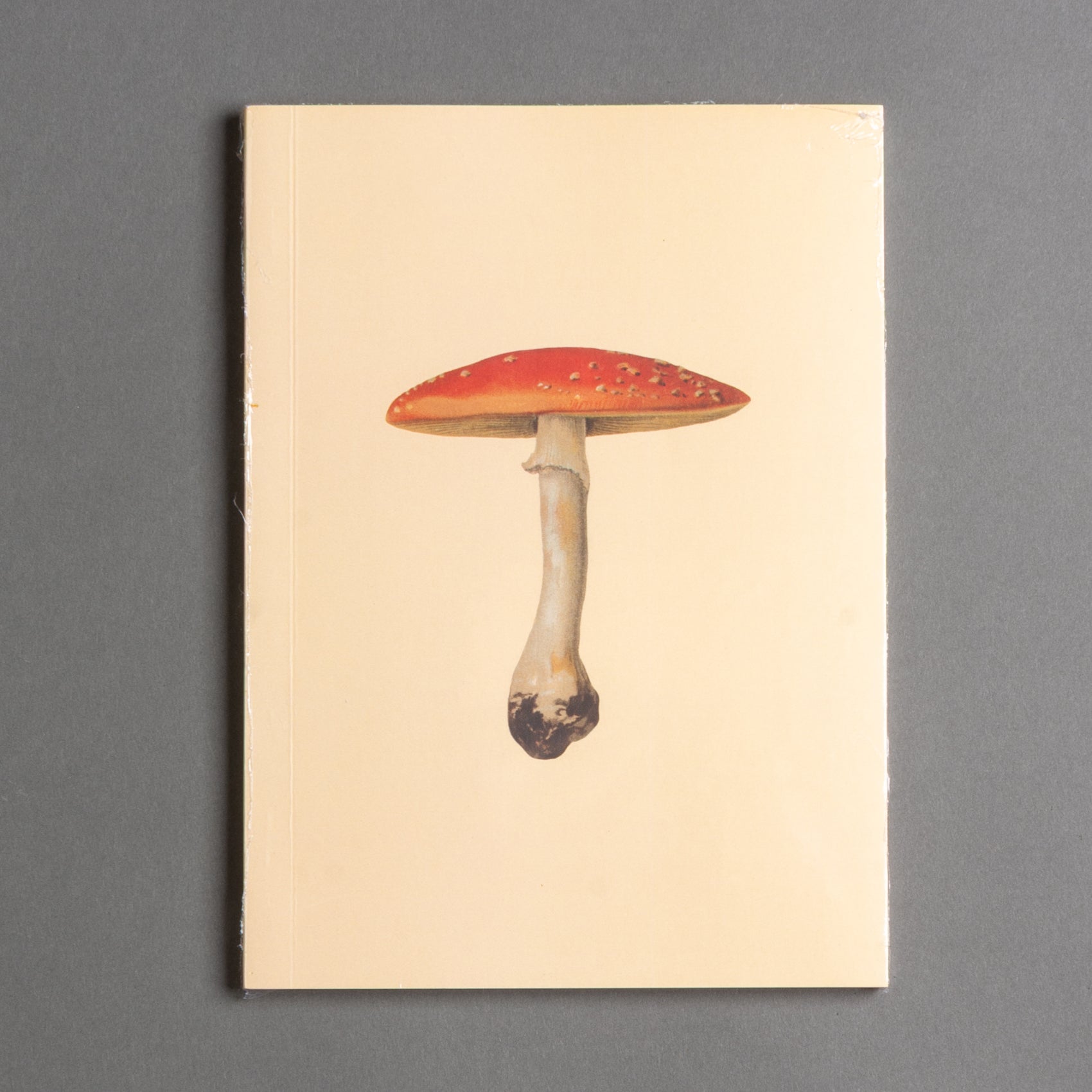 CADERNO COGUMELO