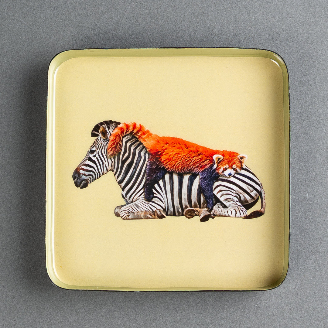 BANDEJA  QUADRATTA SIESTA