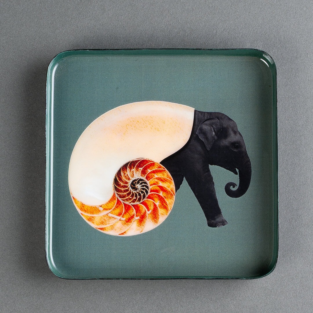 BANDEJA  QUADRATTA SHELLPHANT