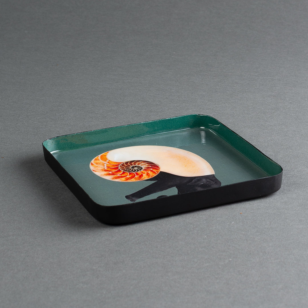 BANDEJA  QUADRATTA SHELLPHANT