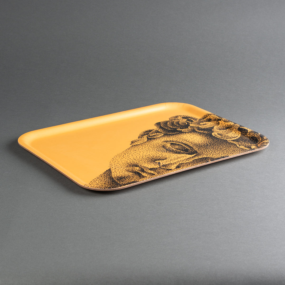 BANDEJA MADEIRA VISO ARANCIONE