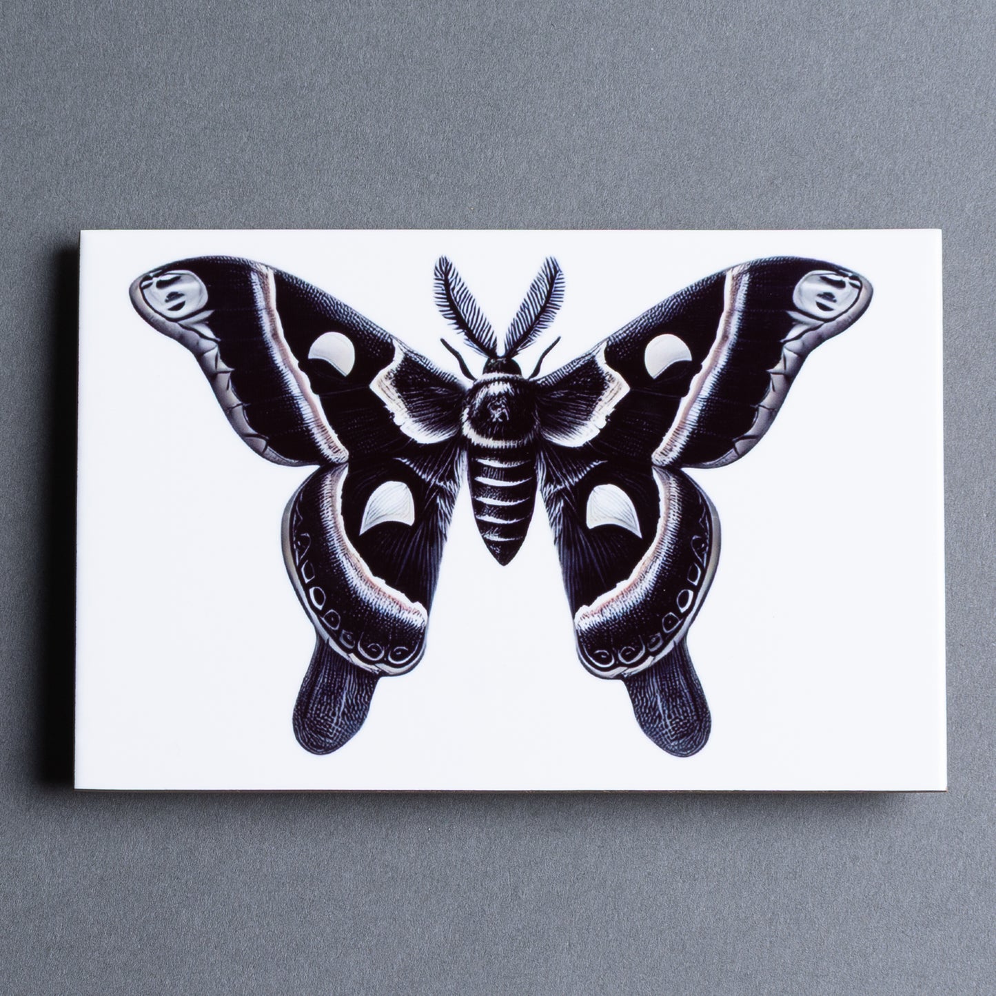 ESCULTURA AZULEJO MARIPOSA