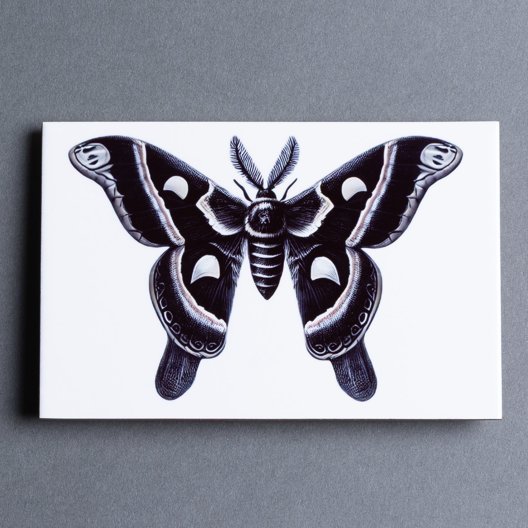 ESCULTURA AZULEJO MARIPOSA